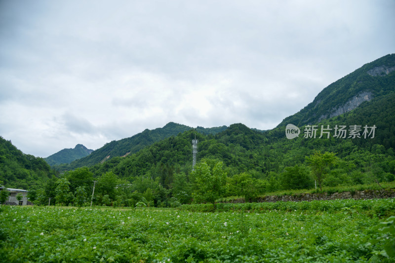 山间田园水泥路风景