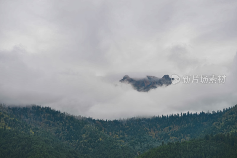 云雾中的森林山峰虎头山