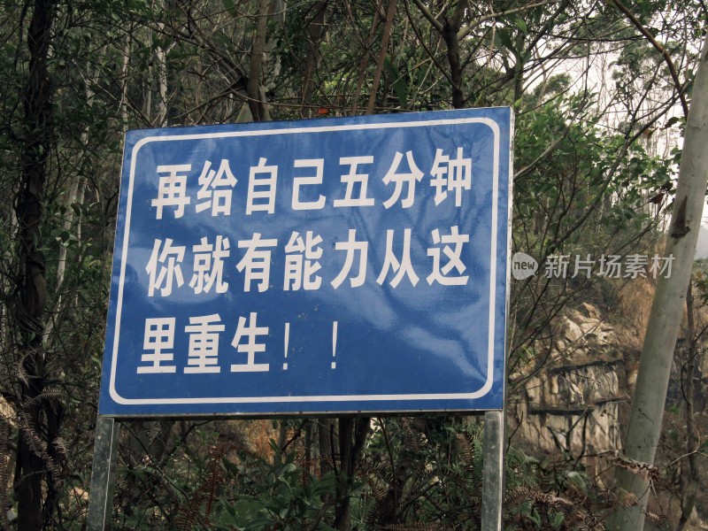 树林中的励志标语牌