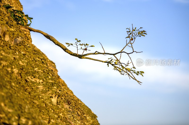 重庆酉阳：“睡佛”山下好风光