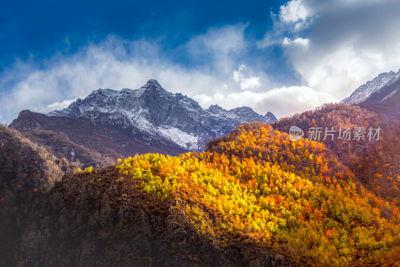 山南雪山秋色