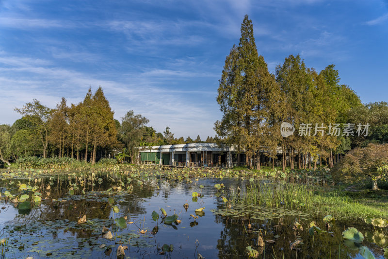 杭州西子湖畔杭州花圃风景