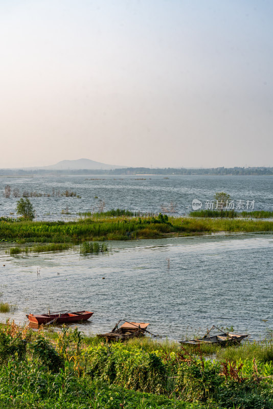 夏天的邹城孟子湖湿地湖泊自然景观