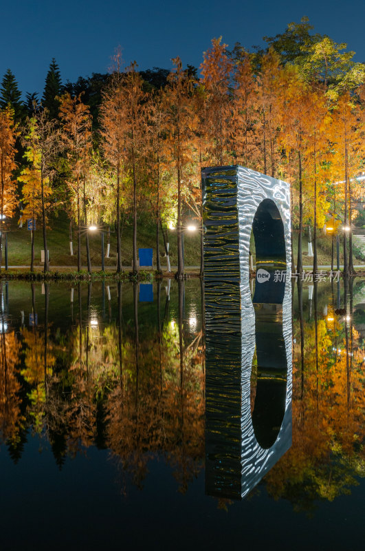 佛山千灯湖南海活水公园落羽杉红叶夜景灯光