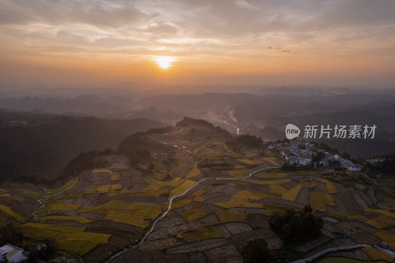 秋天贵阳高坡石门水稻梯田