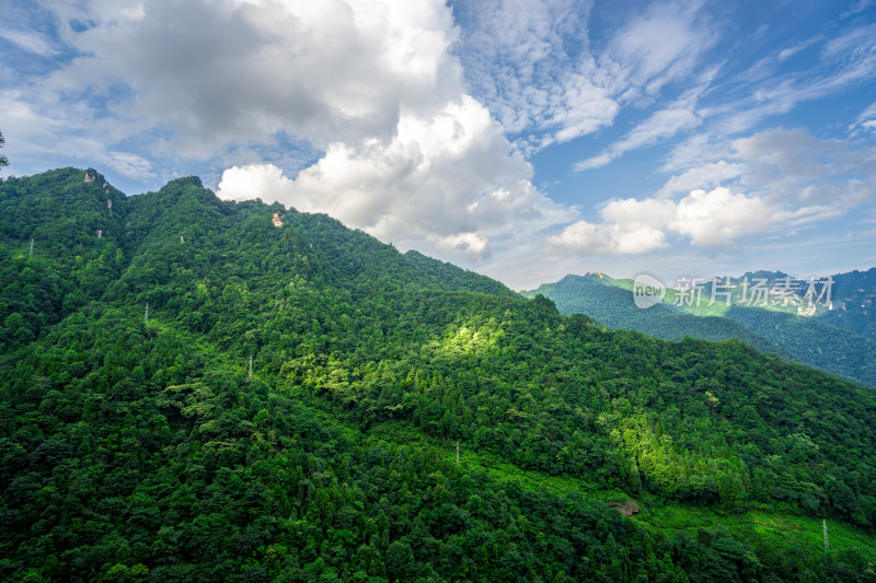 中国湖南张家界景区奇特山峰与茂密森林