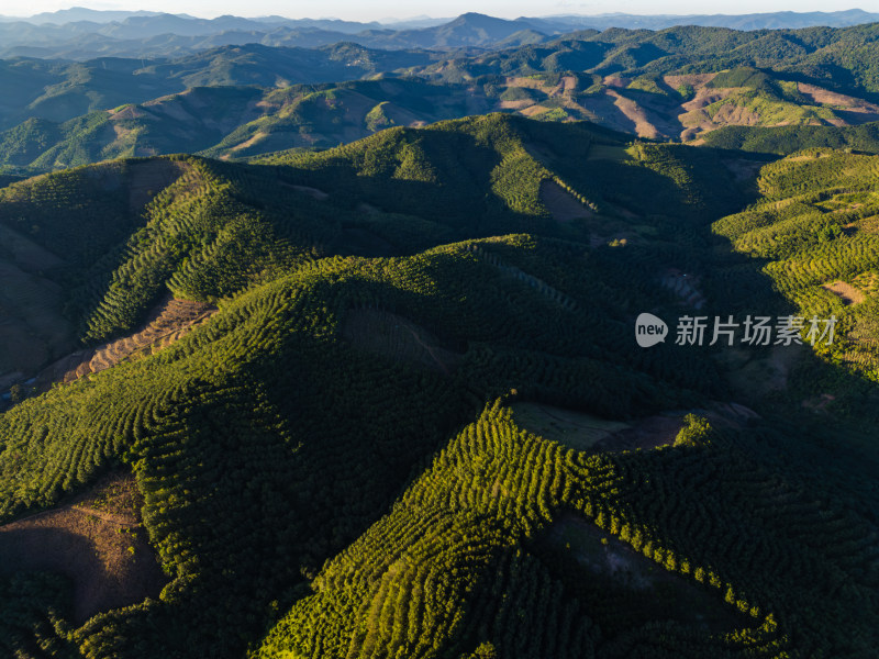 航拍视角下的大片绿色山林山脉全景