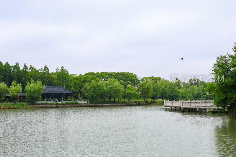 梅雨季节的苏州昆山亭林园