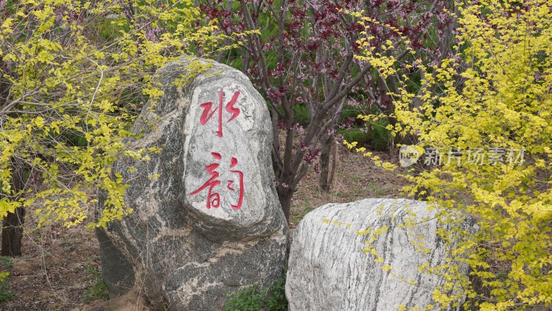 刻有文字的景观石与花木