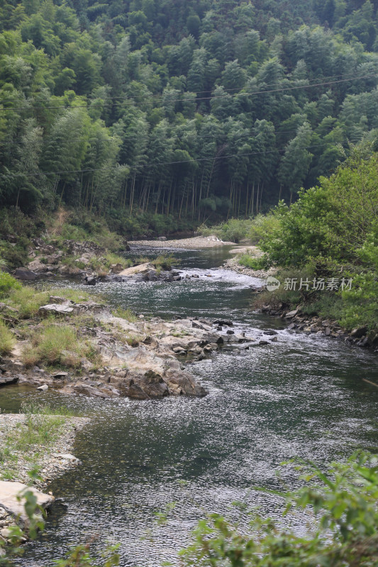 溪流 山间 河流