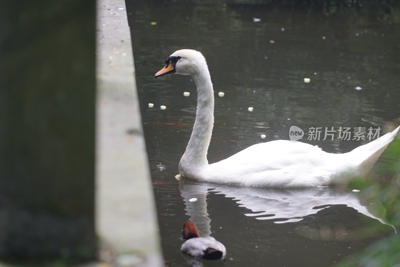 杭州风光 西湖风光