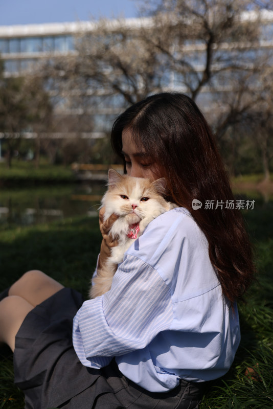 一个美女与宠物英国长毛猫的温馨互动