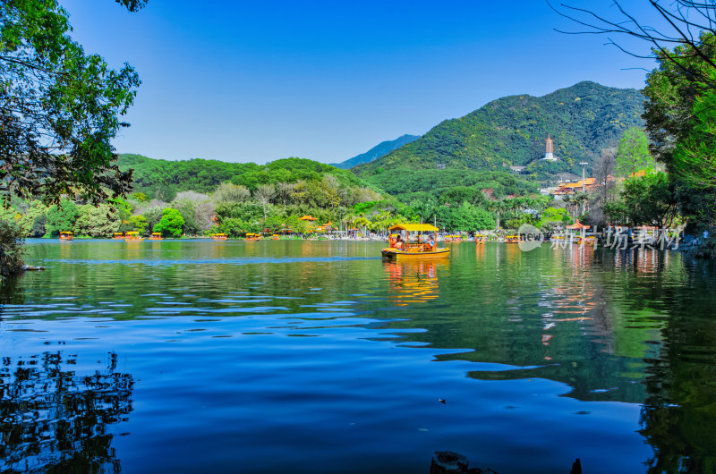 深圳仙湖植物园湖泊游船与碧绿树林