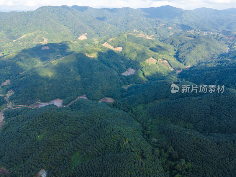 航拍视角下的大片绿色山林山脉全景