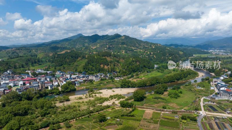 航拍福建南平武夷山森林