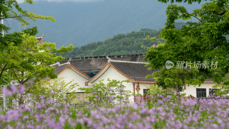 韶关乳源农旅小镇风光
