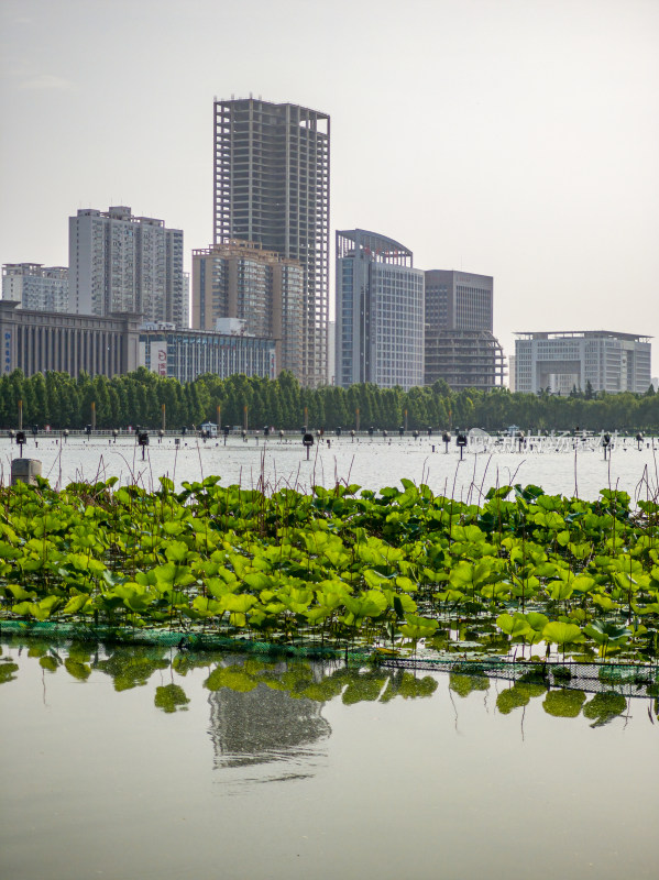 洛阳开元湖景观