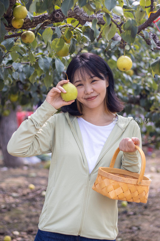 快乐的年轻女人在果园采摘