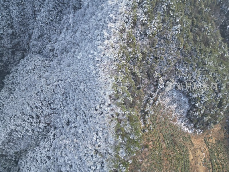 皖南梯田第一场雪