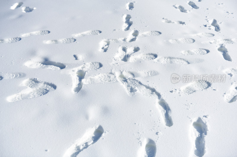 雪地上的脚印特写