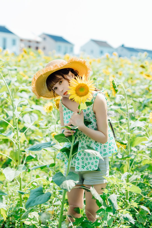 在向日葵花田的少女