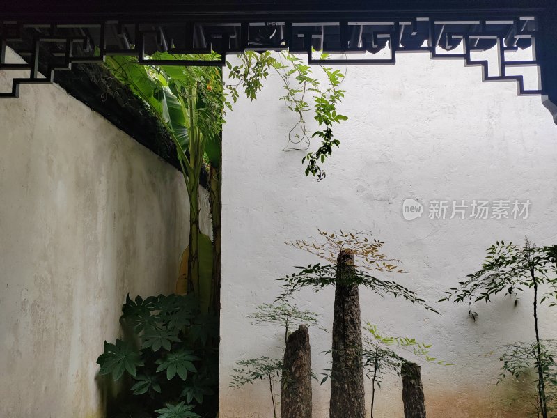 白墙绿植旁的中式建筑景观