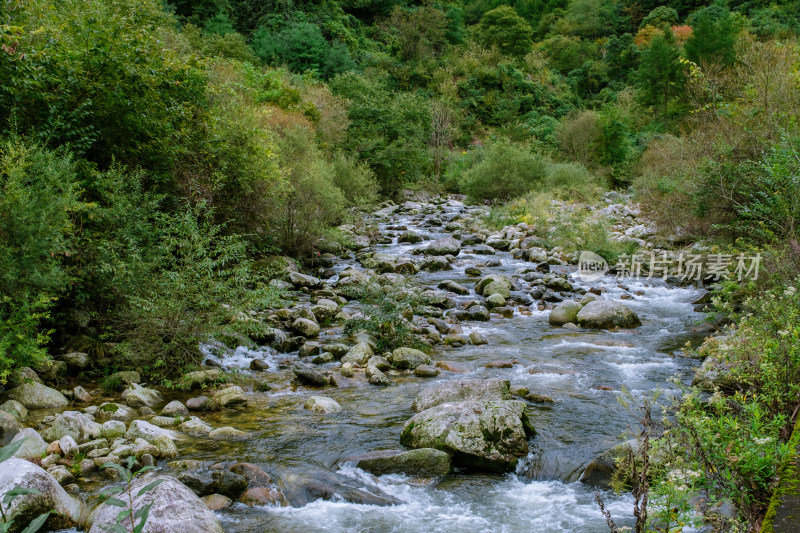 汉中留坝火烧店镇秦岭深处的山中小溪