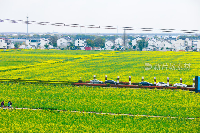 乡村振兴之吴江现代农业产业园