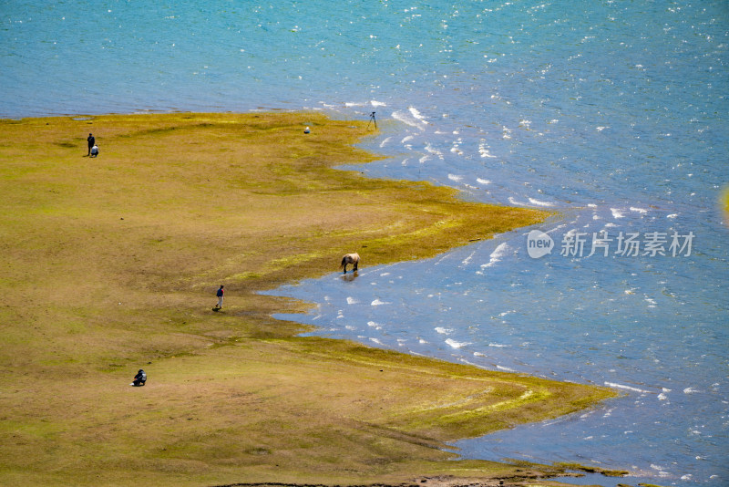 文海村湖边草地上有人和马的自然景象