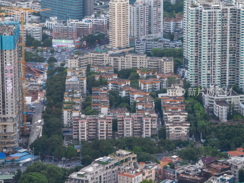 深圳罗湖城市绿洲与高楼林立街道航拍