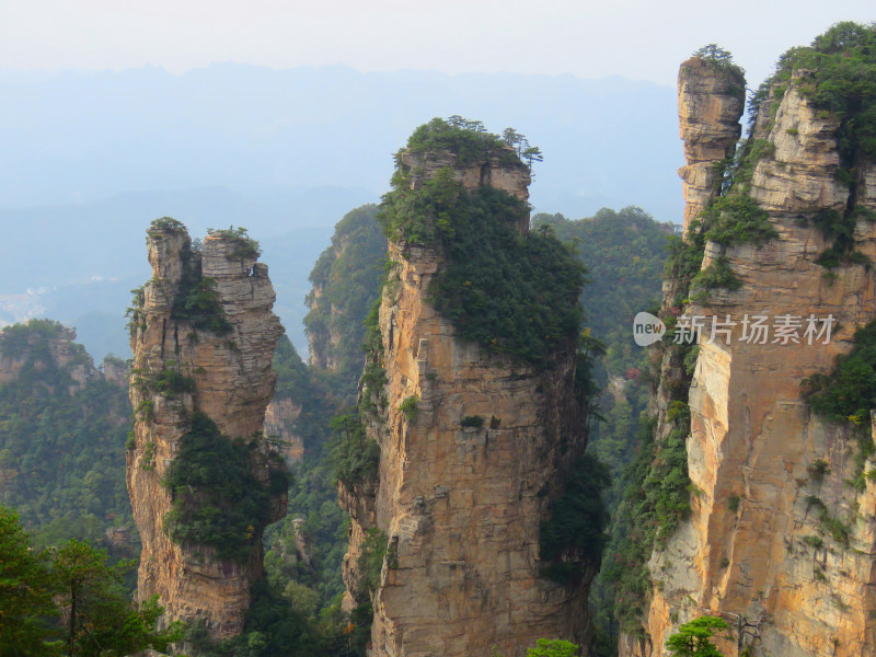 湖南张家界武陵源国家森林公园旅游风光