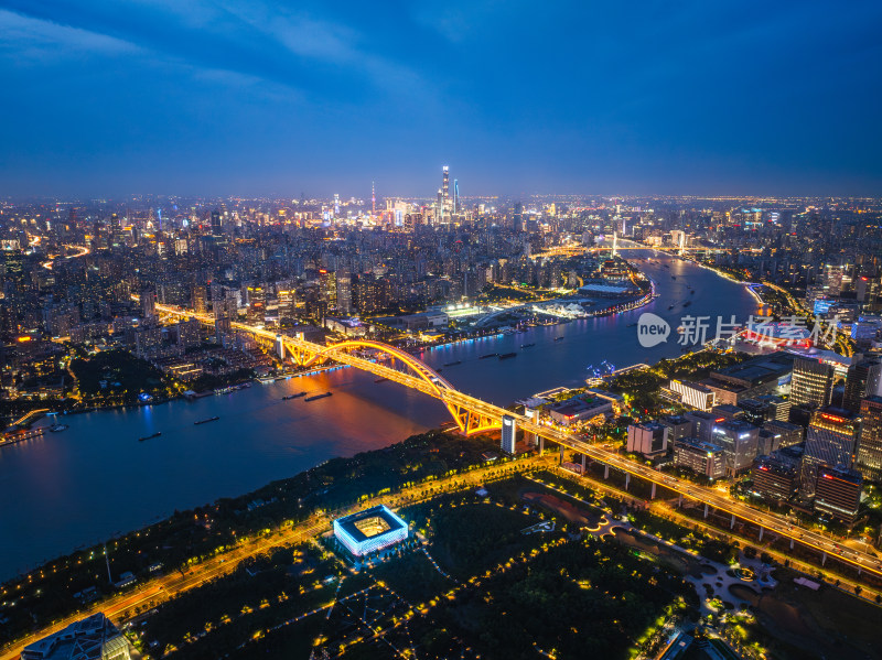 航拍上海城市夜景卢浦大桥世博园