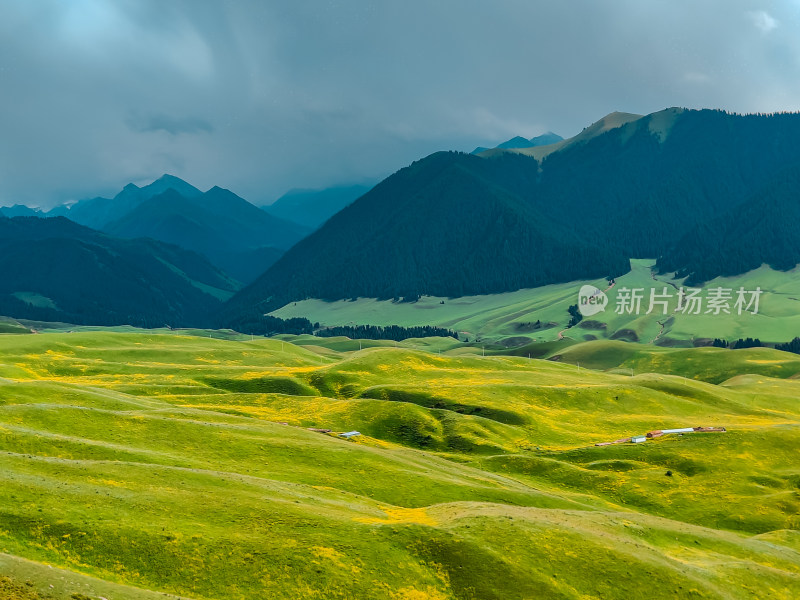 新疆那拉提草原森林山村落