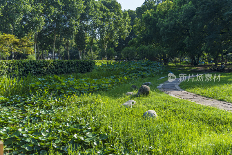 武汉江岸区解放公园风景