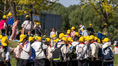 武汉园博园秋天银杏树下集体活动的小学生