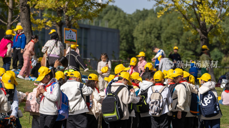 武汉园博园秋天银杏树下集体活动的小学生