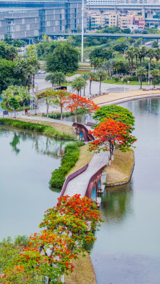 中国广东省佛山市南海区三山新城文翰湖公园