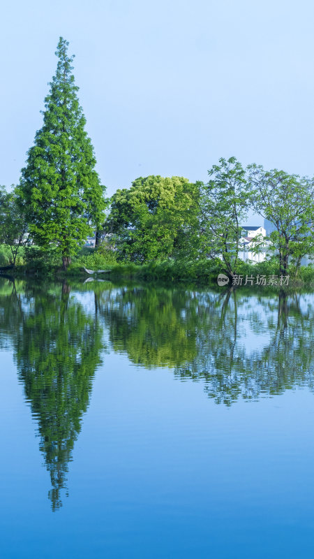 绍兴江南水乡东鉴湖风景