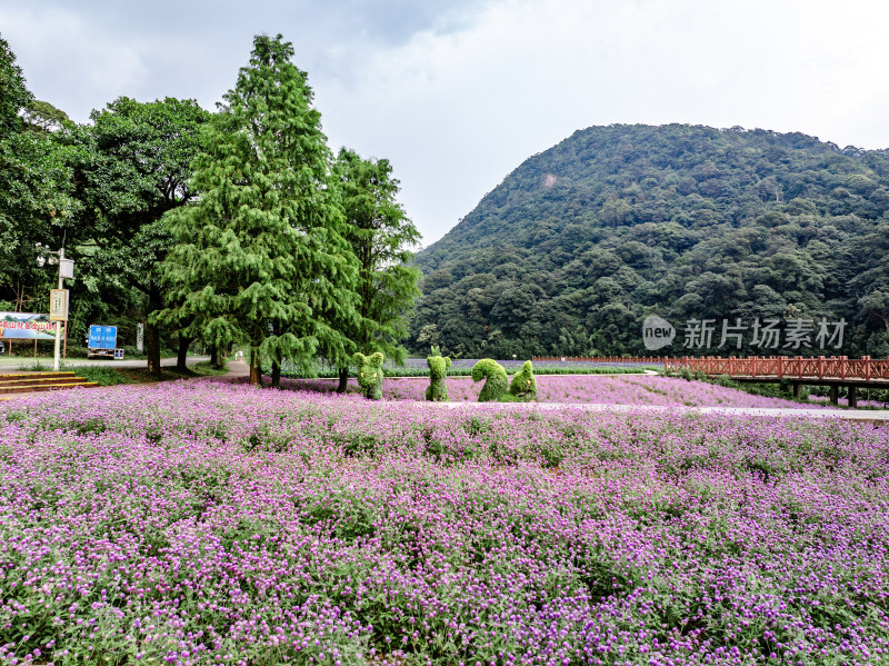 中国广州市从化区石门国家森林公园