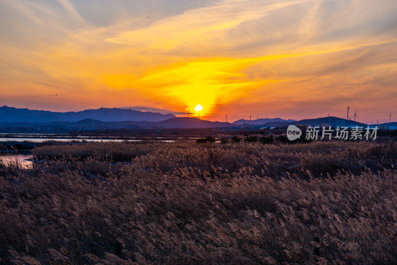 夕阳下的芦苇荡与远山景观