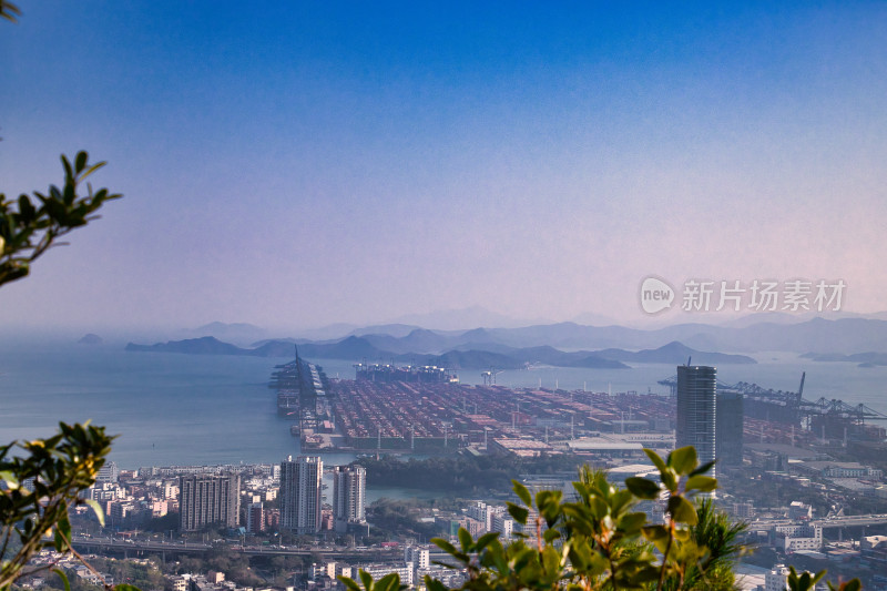 海港城市的城市风光与繁忙码头的全景