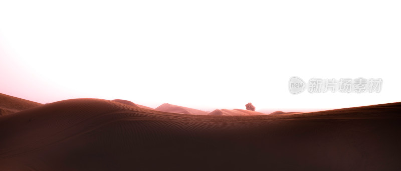 阿拉伯沙漠