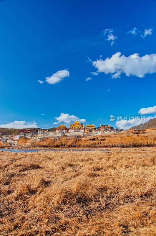 云南迪庆香格里拉松赞林寺景区湖泊草地秋景