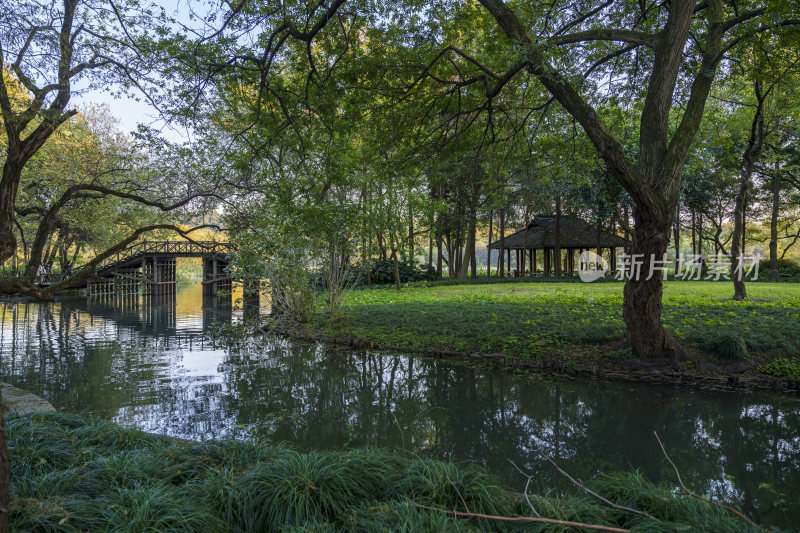 杭州西湖茅家埠江南水乡风景