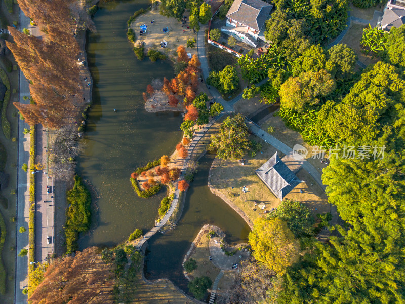 福州城市中色彩斑斓的树林全景