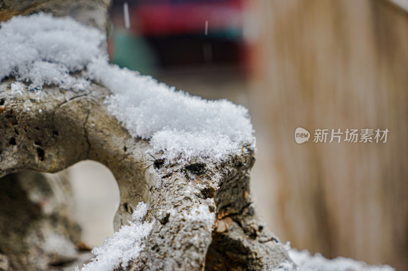 假山雪花积雪