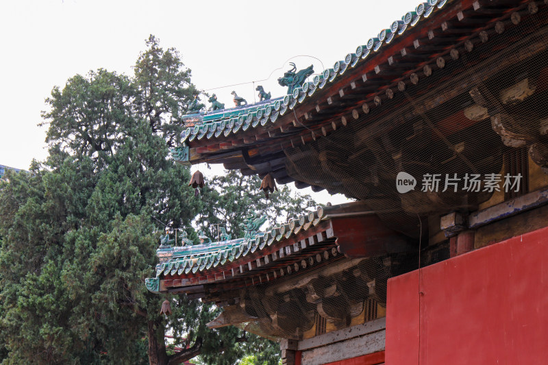 石家庄正定古城隆兴寺