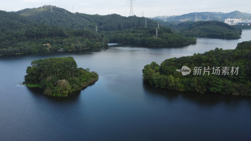 广东东莞：黄江镇黄牛埔森林公园深秋景致