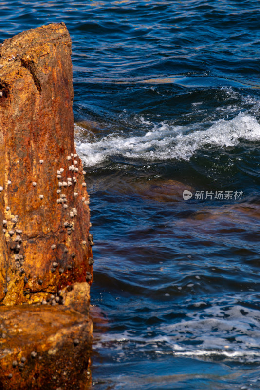 海边的风景