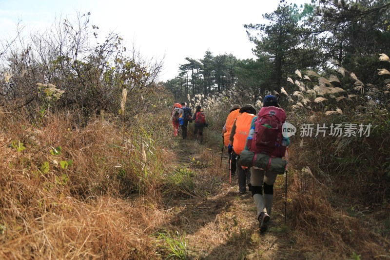 山路 山间小路 登山 清晨